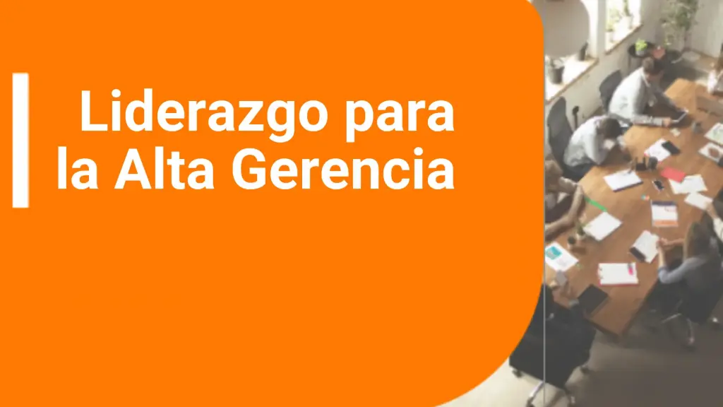 Diplomado: Liderazgo para la Alta Gerencia