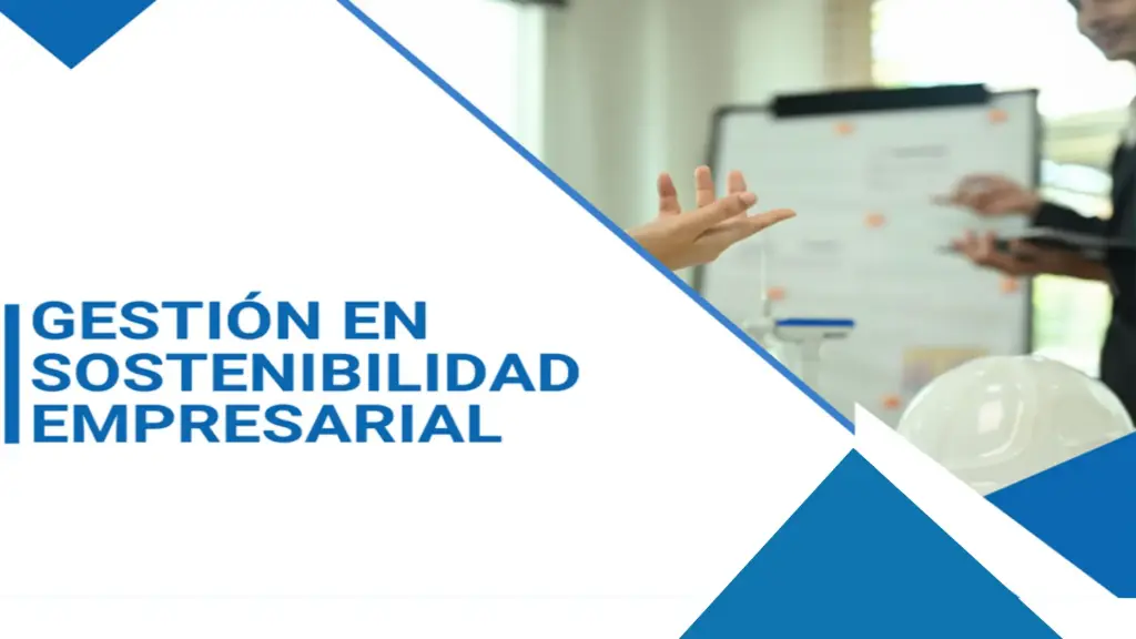 Diplomado: Gestión en Sostenibilidad Empresarial