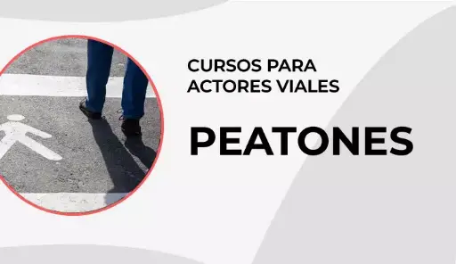 Curso: Seguridad Vial para Peatones